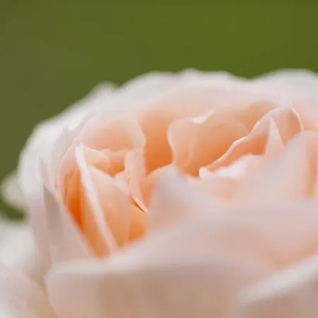 Agroturismo Il Cavicchio Pianoro