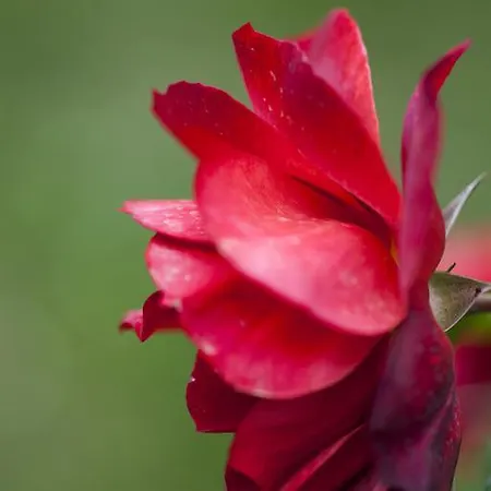 Agroturismo Il Cavicchio *