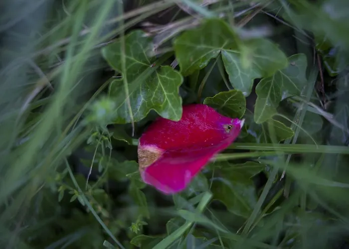 Farmház Il Cavicchio