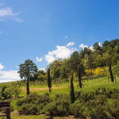 Gospodarstwo agroturystyczne Il Cavicchio