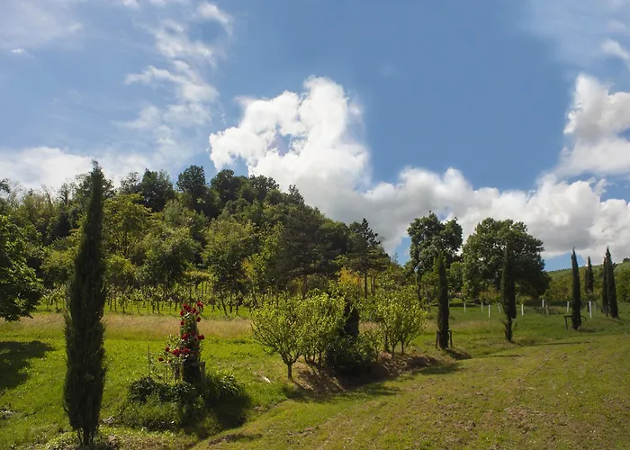 مزرعة للإقامة Il Cavicchio بيانورو