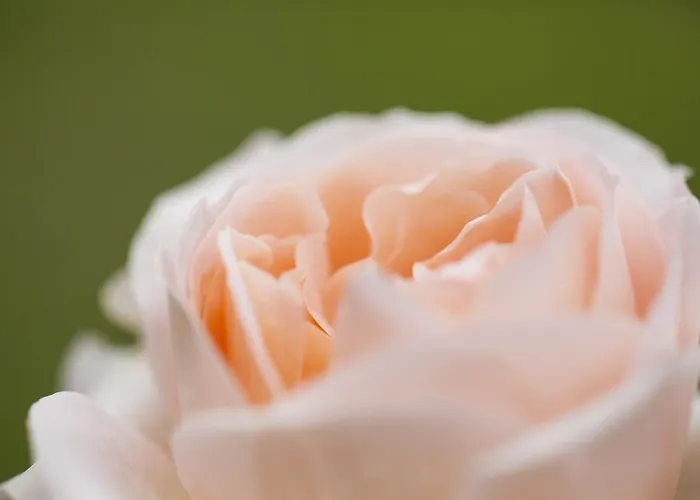 Farma Il Cavicchio Pianoro