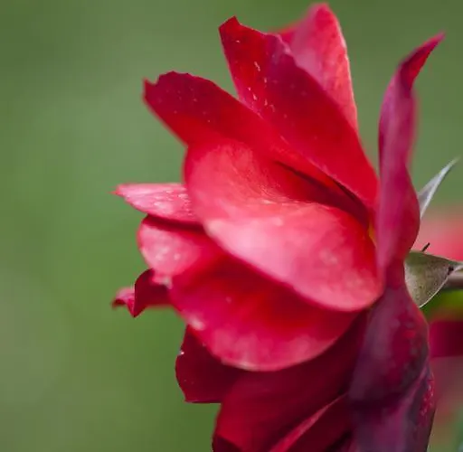 مزرعة للإقامة Il Cavicchio *